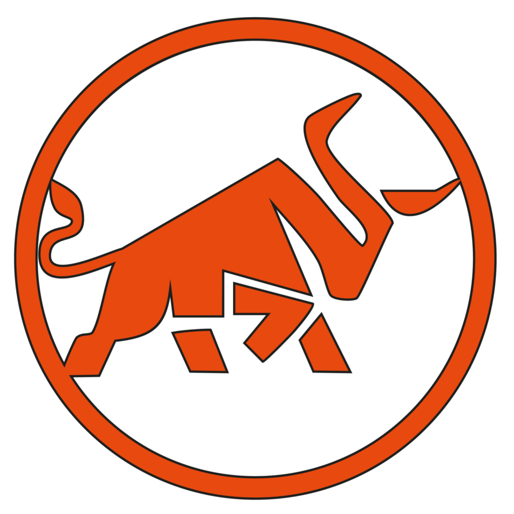 Logo Toro 16 1